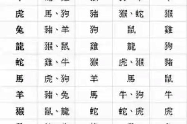 生肖相冲：揭开命理中的生肖冲突之谜，寻找和谐相处之道