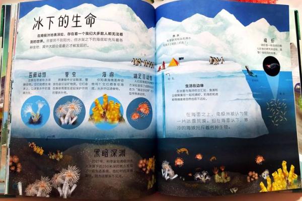 深入揭秘：啊命的真正含义及其生活中的应用！