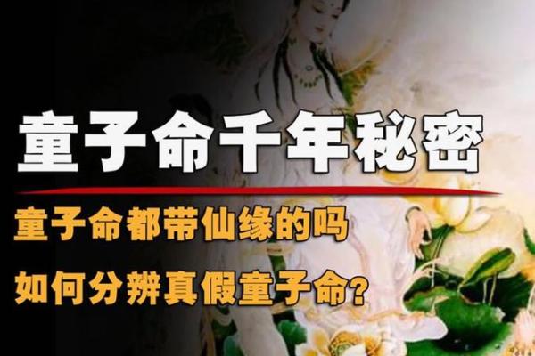 探索童子命背后的神秘：为何童子命多劫难？