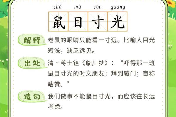 巧用成语，探寻“命运”的深意与生活智慧