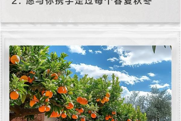 浪漫四季：在自然中寻找生活的诗意与灵感