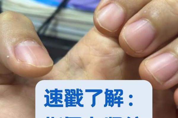 手指的粗细与命运：解读命理中的细微差别