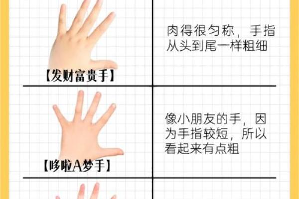 手指的粗细与命运：解读命理中的细微差别