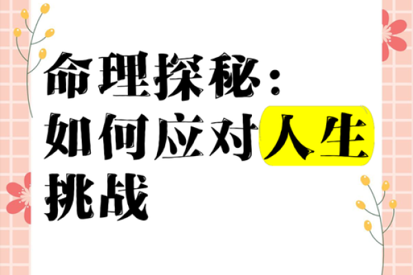 探秘命格：如何依据命理选择适合的职业与人生道路