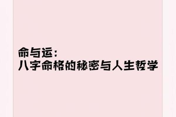 探秘命格：如何依据命理选择适合的职业与人生道路