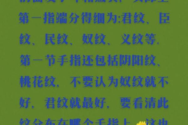 手指长短揭示命运奥秘，深度解析你的人生轨迹！
