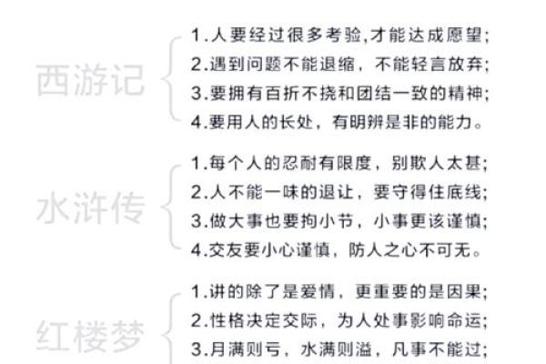 下巴宽的人生智慧：从容应对生活的挑战与机遇
