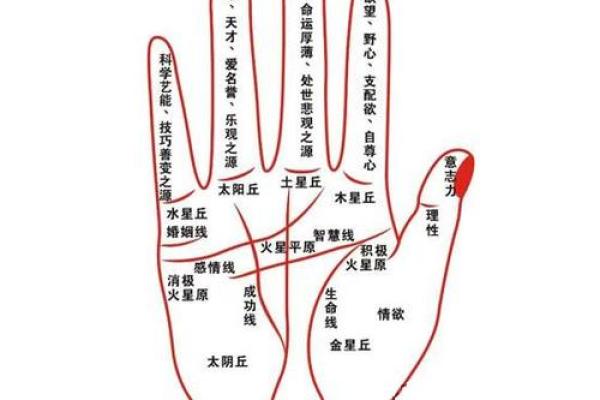 揭秘手指特征：如何通过手指判断一个人的富贵命运！
