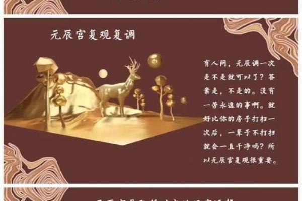 探索命理中元辰的深刻意义与人生启示