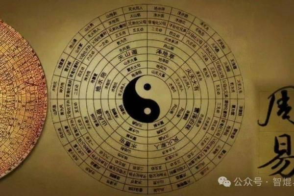 探索命理中元辰的深刻意义与人生启示