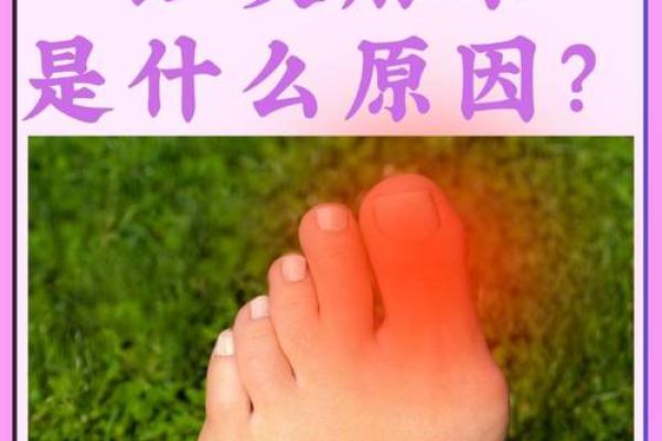 女人脚指头短粗的命运解析与人生智慧