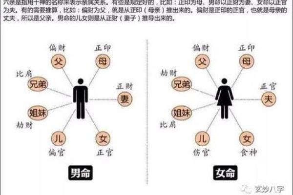 夫妻命理：如何通过八字判断婚姻中的男女关系与和谐