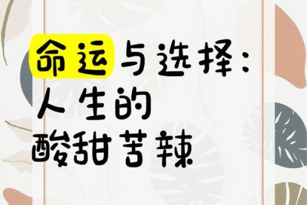不同命运的人如何选择适合自己的生活方式