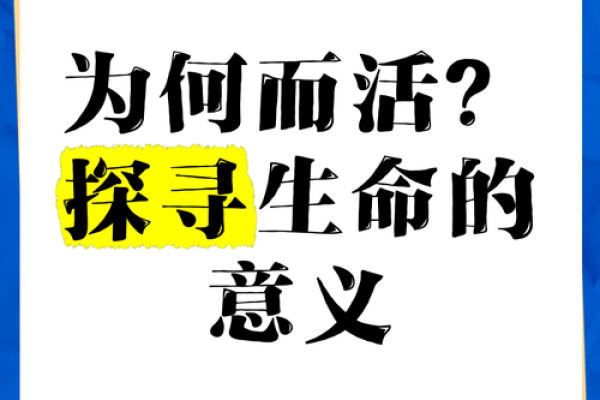 解读命价：生活中的价值与意义探寻之旅