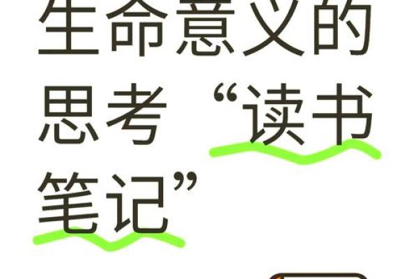 解读命价：生活中的价值与意义探寻之旅