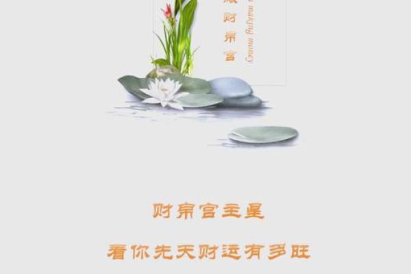 女性命理中的财星：身体健康的象征与解析