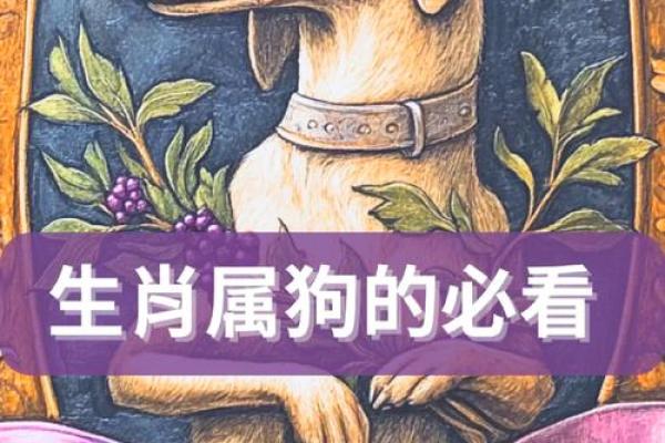 19872年属狗人的命运与特色：探秘狗年命理的奥秘