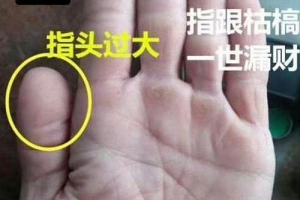 右手女人断掌：命运与性格的深刻解读
