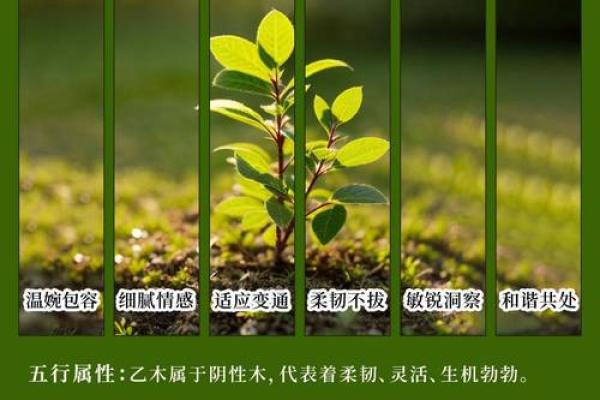 木命人种植植物指南：让生活充满生机与活力