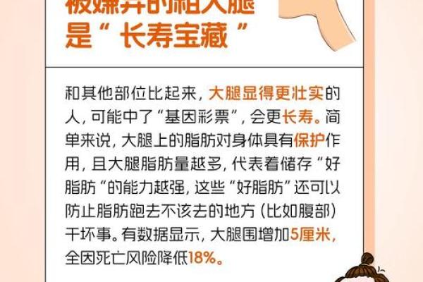 从男人大腿粗壮看命运：身体与命理的奇妙联系