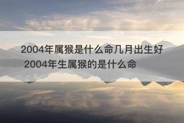 2004年出生的属猴命解析：智慧与灵巧的象征