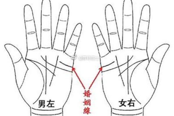 2000年出生的人的命运与伴侣运势解析