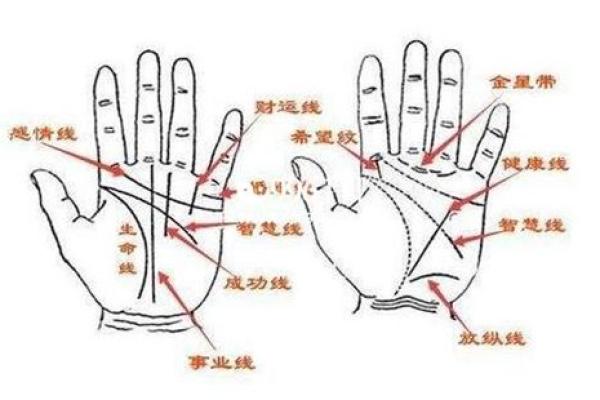 2000年出生的人的命运与伴侣运势解析