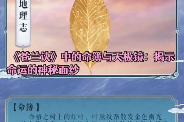 《盗命兄弟：在时间与命运的缠斗中挣扎生存》