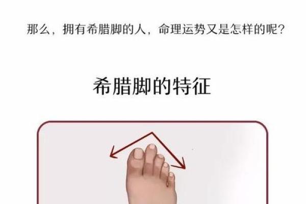 大脚趾很短的命运分析：探索短脚趾背后的深层意义