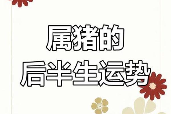 26岁女属猪，福气满满的命运探索之旅