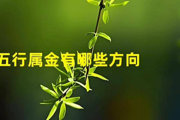 1990年出生的人：属于金命的你，生活中应该注意什么？