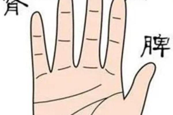 手指粗大的女人：解读命运与人生的玄机