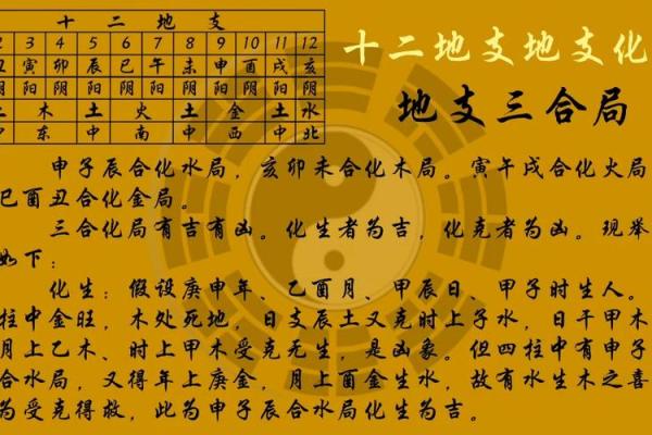 探索命理的奥秘：了解十二地支与我们的生活关联