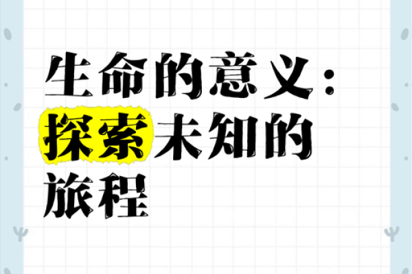探索“把命消”的意义：生命哲学的深刻探讨