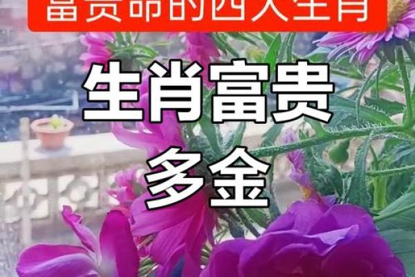 揭秘富贵命生肖的秘密：你属于哪个财富之星？