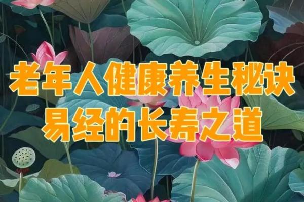 解密长寿秘诀：活到90岁的人生智慧与命运思考