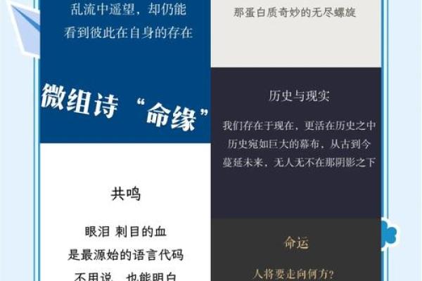 探索1986年与1987年出生人的命理差异与人生轨迹