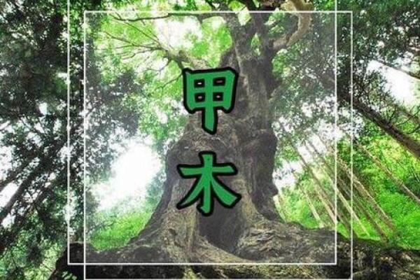 命理属木的人适合什么颜色？细说木元素的色彩魅力与影响！