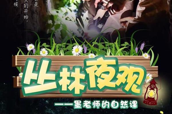 探秘夜深11点：这一刻的命理与我们生活的连接