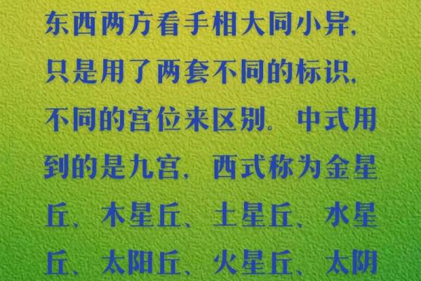 揭开手纹的秘密：你手中的命运之法则！