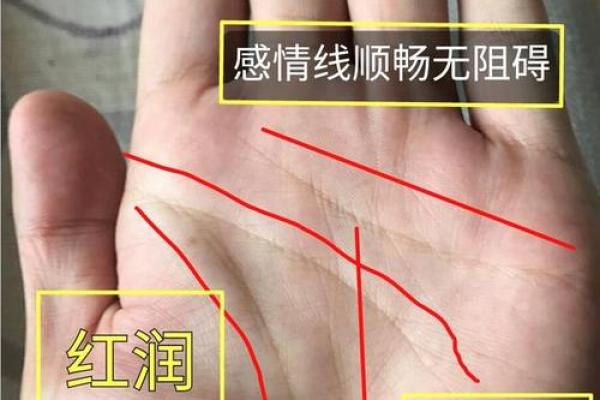 揭开手纹的秘密：你手中的命运之法则！