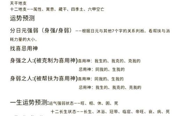 壬申戊申癸未己未命，探索五行八字的深邃奥秘与人生智慧