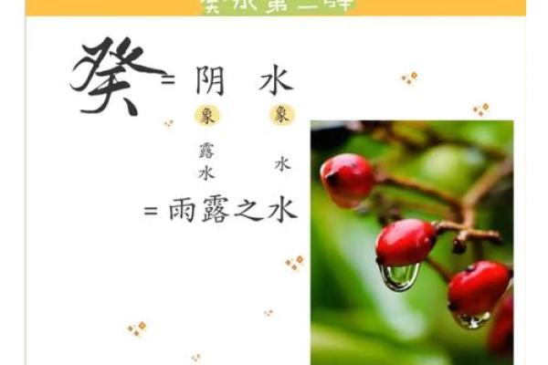 壬申戊申癸未己未命，探索五行八字的深邃奥秘与人生智慧