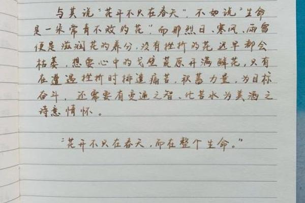 在风雨中绽放的生命力量：坚韧不拔的故事