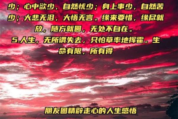 探索“都是命”的深层含义与人生启示