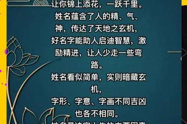 深入探讨命名的深层意义与影响：名字的力量与选择的重要性
