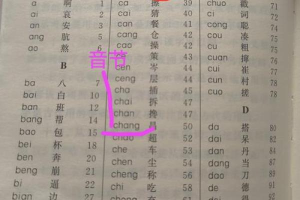 命的音序与音节解析，让我们走进汉字的世界！