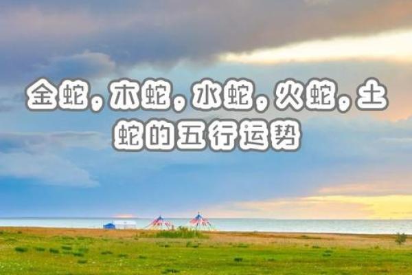 水蛇命宝宝佩戴什么：打造健康运势的秘笈