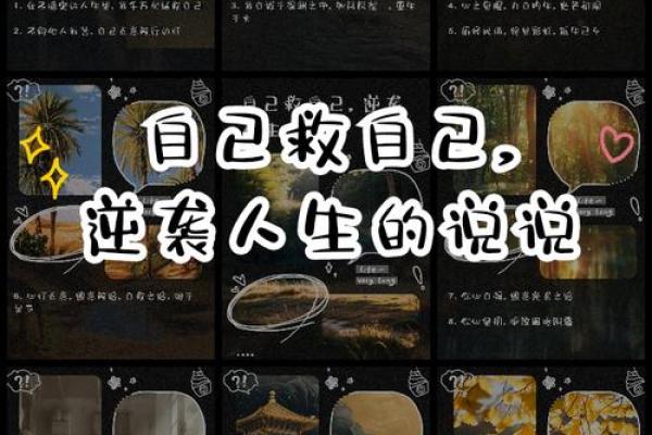 为什么我与赌博无缘：一场心灵的自我拯救之旅