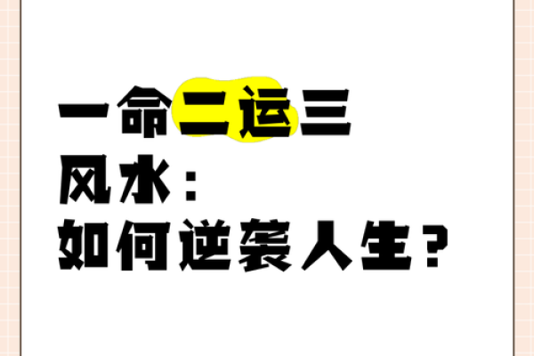 在命运交织的边缘：解读“让她一命换一命”的深意